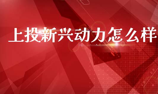 上投新兴动力怎么样_https://cj007.lansai.wang_期货开户_第1张