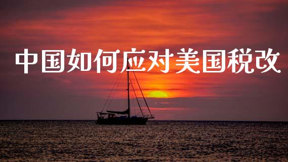 中国如何应对美国税改_https://cj007.lansai.wang_期货开户_第1张